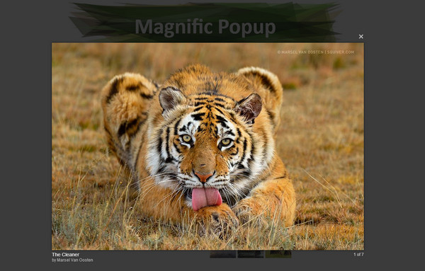 JavaScript Plugin Magnific PopUp