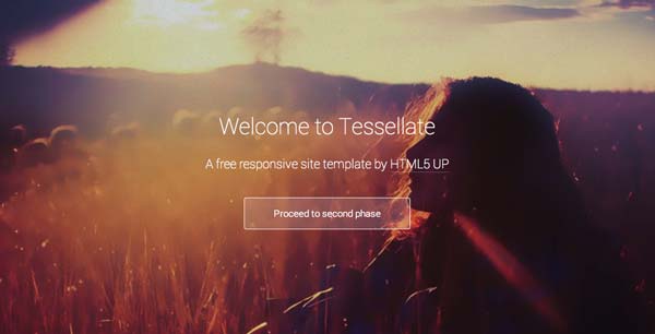 Plantillas HTML para negocios Tesellate