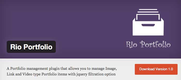 Plugin WordPress para optimizar portafolio: Rio Portfolio