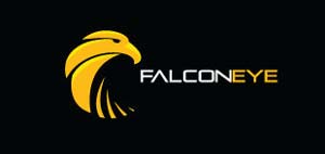 Diseño de logos con síntesis de aves: Falcon Eye