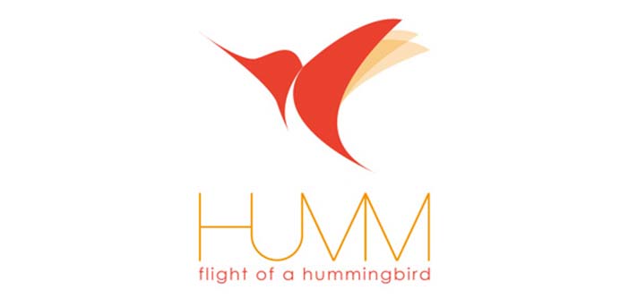 Diseño de logos con síntesis de aves: Hummingbird Logo