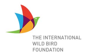 Diseño de logos con síntesis de aves:  TIWBF