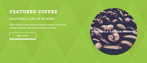 Ejemplos de pagina web con uso de patrones de diseño: Tiny Footprint Coffee