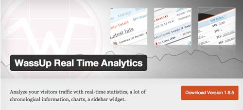 Plugin WordPress para verificar estadísticas de sitio: WassUp Real Time Analytics