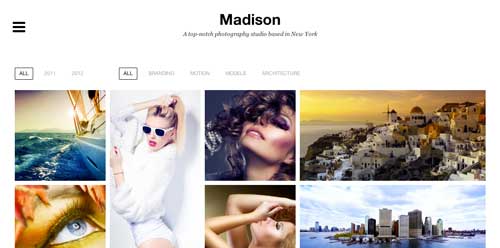 Temas WordPress premium para fotógrafos: Madison