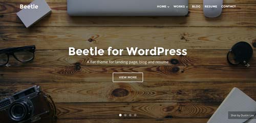 Temas WordPress adaptativos para portafolios online: Beetle