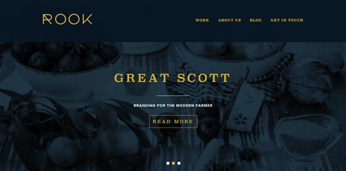 Ejemplos de paginas web que hacen uso de tipografía serif: Rook