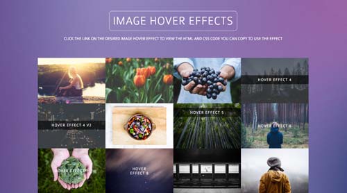 librerias-css-efectos-hover-imagenes-otros-elementos-ImageHoverEffects