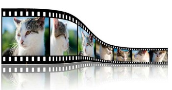 Pautas para un adecuado uso del slider: Considerar contenido